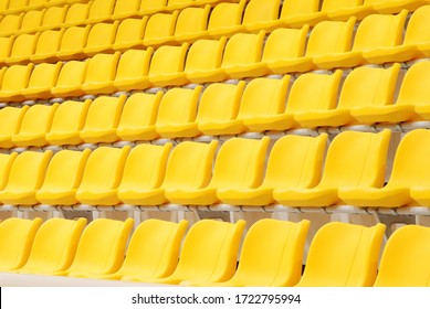 The Sitting In The Indoor Stadium