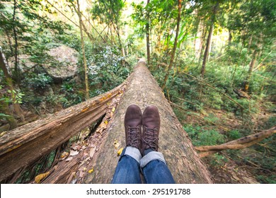 sitting on a falling tree in the forest. walk through a forest in Thailand