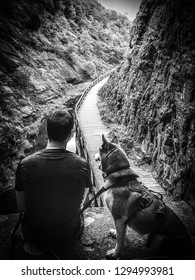 Sitting On Top Of Paw Paw Tunnel