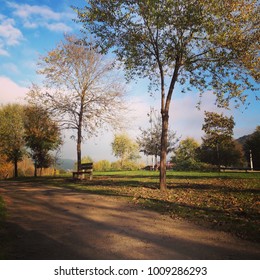Sitting in the park