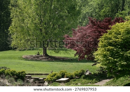 Sitting under a spreading trees in a public park                               