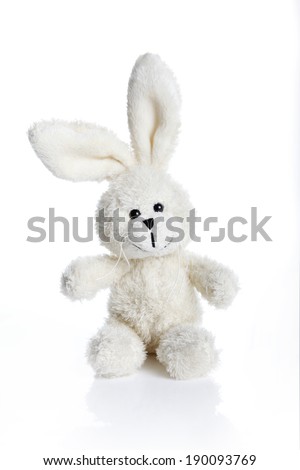 Sitting white stuffed bunny