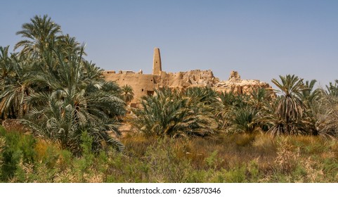 The Siwa Oasis Between The Qattara Depression And The Egyptian Sand Sea In The Western Desert, Nearly 50 Km (30 Mi) East Of The Libyan Border, Wahat Siwa, Egypt