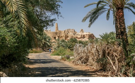 The Siwa Oasis Between The Qattara Depression And The Egyptian Sand Sea In The Western Desert, Nearly 50 Km (30 Mi) East Of The Libyan Border, Wahat Siwa, Egypt