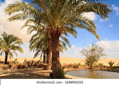 Siwa Oasis Egypt Tourism Travel