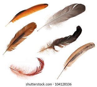 six feathers isolated on white background