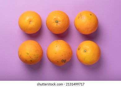 Six fresh and healthy oranges, seasonal and irregular, ugly and flawed, photographed from above, against a pinkish violet background