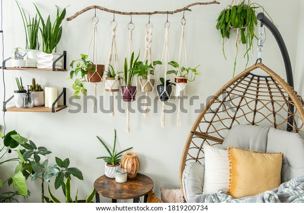 Six handmade cotton macrame plant hangers are\
hanging from a wood branch. The macrame have pots and plants inside\
them. There are decorations and shelves on the side with an egg\
chair and a table.