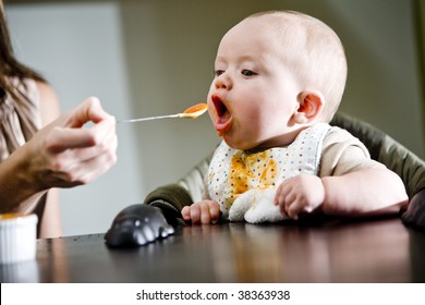 Six Month Old Baby Eating Solid Food From A Spoon