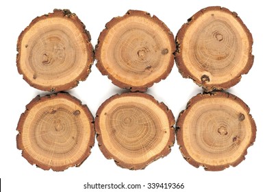 Six oak split with growth rings and bark