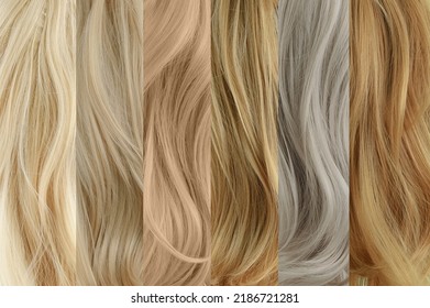 Six samples of strands of blonde hair in different shades. Hair coloring. Hair dye.