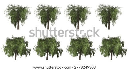 Six weeping willow trees with long green drooping branches displayed in a row against a plain white backdrop.