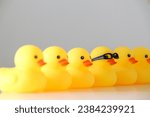 Six yellow rubber ducks in a row line. One duck stands out in focus wearing nerdy glasses. Stand out, be smart, get one’s ducks in a row concept.