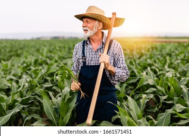 4,742 Old bearded farmer Images, Stock Photos & Vectors | Shutterstock