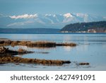 Skagit Wildlife Area, Fir Island Farm Reserve. With over 200 acres of estuary in this protected zone, this birding habitat is intended to protect many animals passing through over winter.