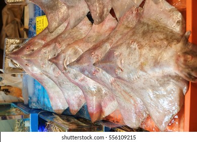 Skate Fish