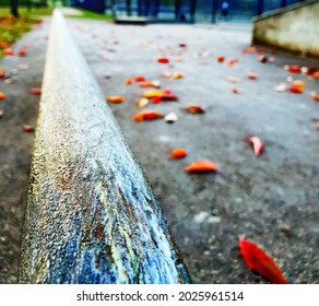 Skate Rail In Autumn Skatepark Setting