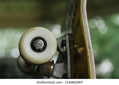 Skateboard Wheel Close Up 