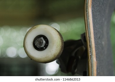 Skateboard Wheel Close Up 