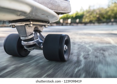 Skateboard Wheel Close Up And Shoes On White Board