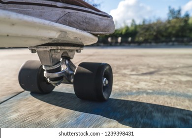 Skateboard Wheel Close Up And Shoes On White Board