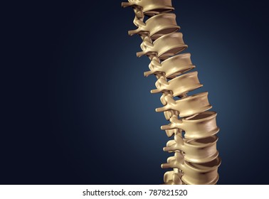 Human Spine Images, Stock Photos & Vectors | Shutterstock body pain diagram template 