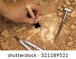 Skeleton and archaeological tools.Training for dig fossil.Simulated same as real digging.