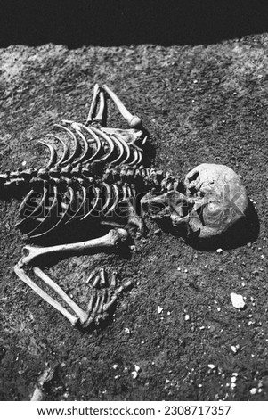 Skeleton at arheological site in Germany Imagine de stoc © 