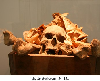 Skeleton In A Box - Suggestion To Thoughts About His Or Her Biography