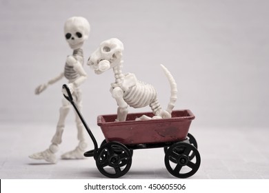 Skeleton Child Pulling Dog In His Wagon