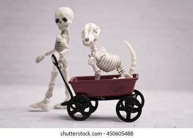 Skeleton Child Pulling Dog In Red Wagon