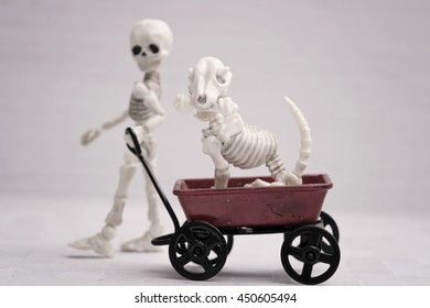 Skeleton Child Pulling Dog In Toy Wagon