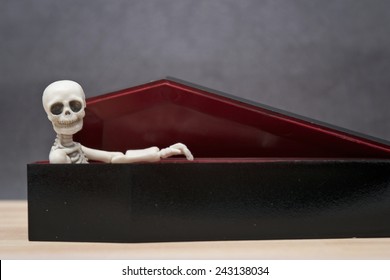 Skeleton In The Coffin