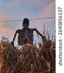A skeleton in the cornfield 