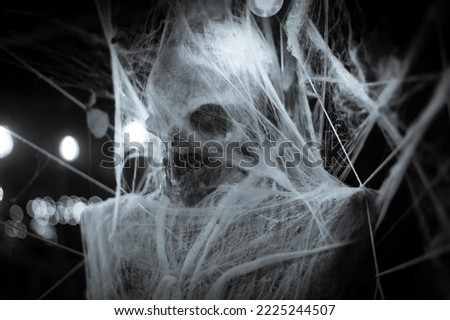 Skeleton decoration for Halloween wrapped in spider web and tissue