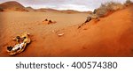 Skeleton in dry desert