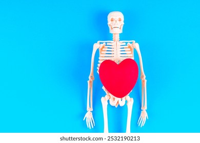 Skeleton figurine with a large red heart isolated on blue background. Afterlife and spiritual love concept. - Powered by Shutterstock