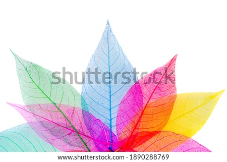 Skeleton frame leaf abstract background
