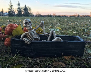 A Skeleton Getting Out Of A Coffin