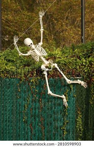 Skeleton gliding under a zip line in Beaumont, Texas