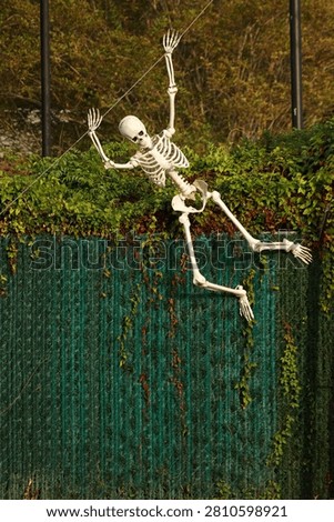 Skeleton gliding under a zip line in Beaumont, Texas