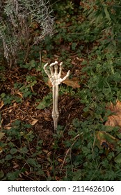 A Skeleton Hand Reaching Out Of The Ground