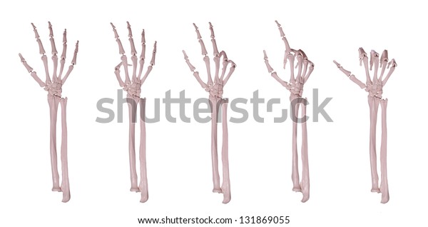 Skeleton Hands Counting 15 Stock Photo (Edit Now) 131869055