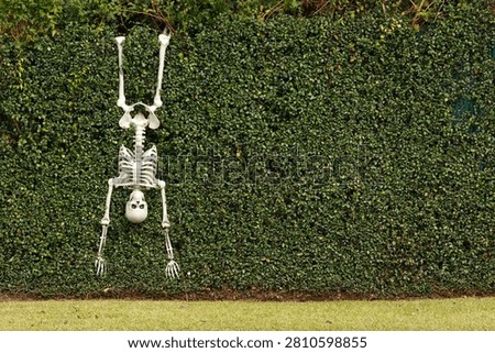 Skeleton hanging upside down in Beaumont, Texas