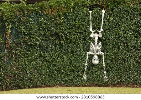 Skeleton hanging upside down in Beaumont, Texas