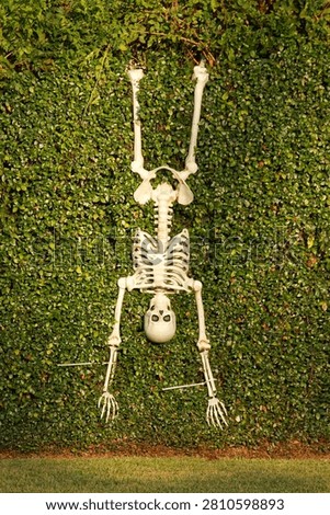 Skeleton hanging upside down in Beaumont, Texas