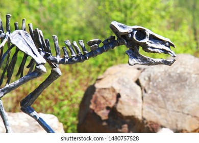 Skeleton Of Horse Eohippus As Very Nice Model 