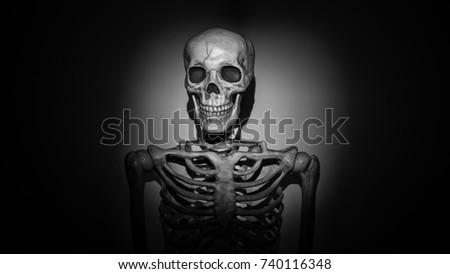Skeleton illuminated by flashlight or spotlight. Film noir style, black and white.