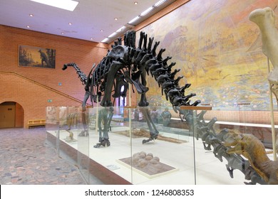 largest herbivore dinosaur