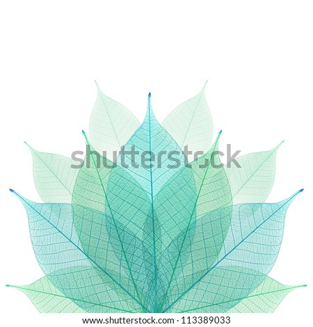 Skeleton leaf abstract background
